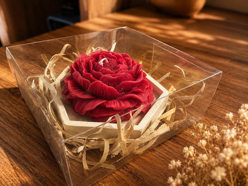 Bhaiya Bhabhi Rakhi Gift Hamper with Peony Candle & Tea Light Candle